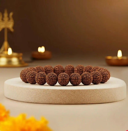 5 Mukhi Rudraksha Bracelet mkp0fp-jd